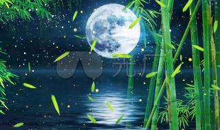 月光下的凤尾竹葫芦丝伴奏