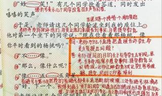 画杨桃告诉我们什么道理