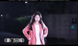 上门女婿剧情