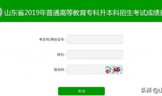 山东专升本成绩查询