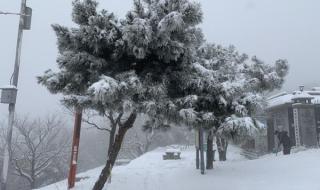 河南多景区飘起大雪