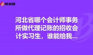 会计师事务所实习生