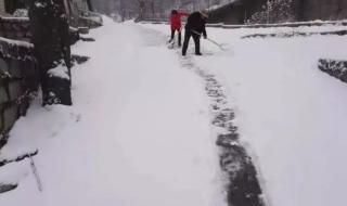 河南多景区飘起大雪