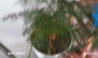 黄豆煮水退烧的方法