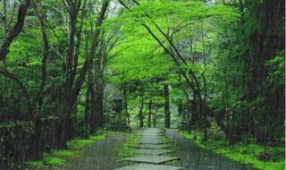 风雨人生路歌曲原唱